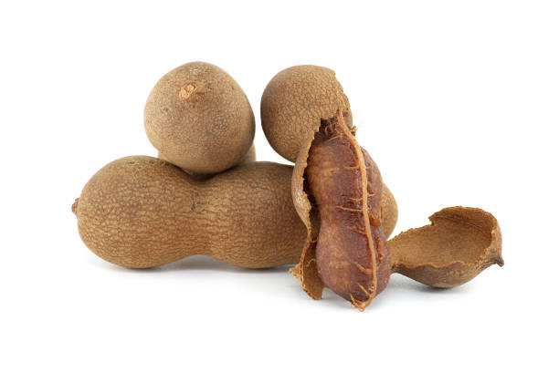 istock Pile tamarind fruit pods over white background 1675197435
