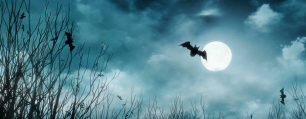 istock bats flying on spooky Halloween night under full moon light 1675220177