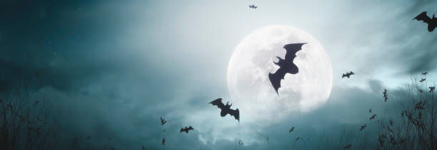 istock spooky background with bats flying under the moonlight at halloween night - copy space 1675221267