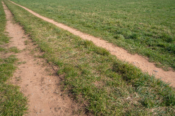 Dirt road between green grass in the countryside