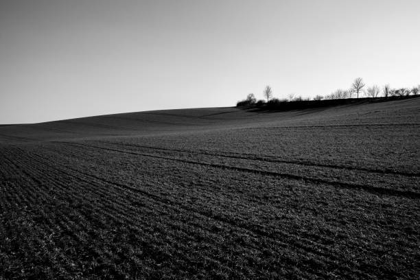 istock Hill in the landscape in black and white 1675252597