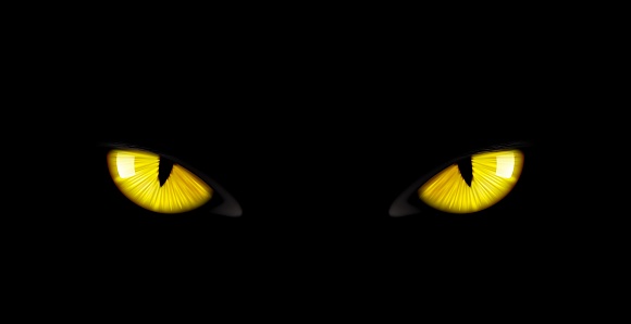 Black panther eyes background, wild cat animal face in night, vector yellow eyeballs in dark. Black panther eyes glow look in macro closeup, wildlife cheetah, puma or cheetah yellow evil eyes on black