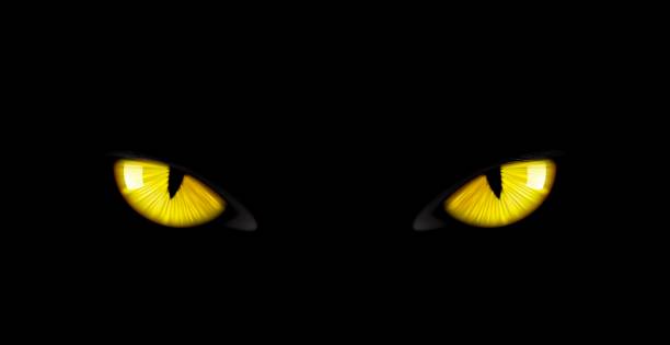Black panther eyes background wild cat animal face Black panther eyes background, wild cat animal face in night, vector yellow eyeballs in dark. Black panther eyes glow look in macro closeup, wildlife cheetah, puma or cheetah yellow evil eyes on black eyes of tiger stock illustrations