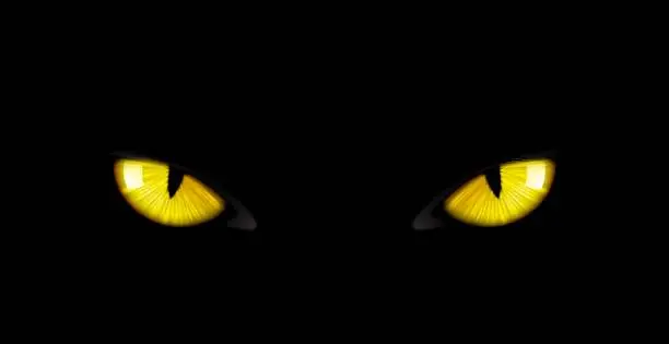 Vector illustration of Black panther eyes background wild cat animal face