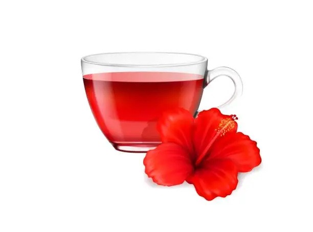 Vector illustration of Realistic hibiscus tea cup and flower herbal drink
