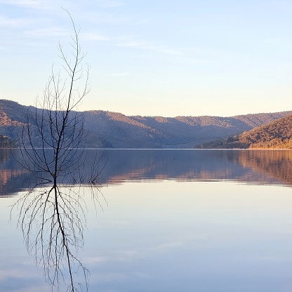 In this serene photograph, the tranquil waters of Lake Eildon mirror the world around them with a breathtaking stillness. The gentle hues of the surrounding landscape are perfectly reflected, creating a captivating and peaceful scene.