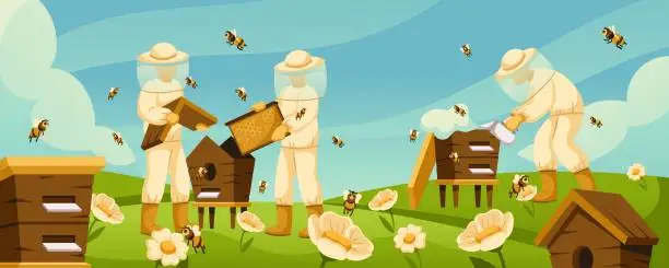 Vector illustration of Cartoon beekeepers at apiary. Honey bees flying around beehives in flower field, blooming wildflowers and apiary workers. Rural beekeeping life vector illustration