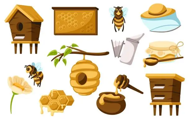 Vector illustration of Cartoon honey production items. Honey bees, beehive, honeycomb and bottle of sweet honey vector illustration set