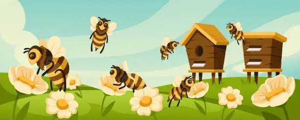 Vector illustration of Cartoon apiary. Honey bees fly around hives and blooming flowers at flower meadow vector illustration