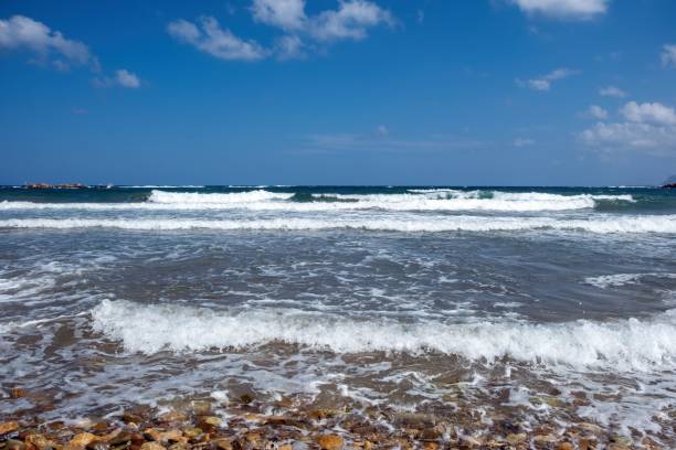 istock Tranquil tropical beach with crystal-clear waters and rolling waves lapping against the shore 1675300739