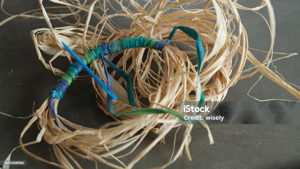 Weaving Rafia Raffia For Aboriginal Weaving Stock Photo - Download Image Now - Raffia ...