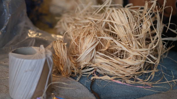 Raffia for Aboriginal weaving. Raffia for Aboriginal weaving. R­­affia comes from the segments of the leaves on the Raphia Farinifera palm (commonly known as Raffia Palm). raffia stock pictures, royalty-free photos & images