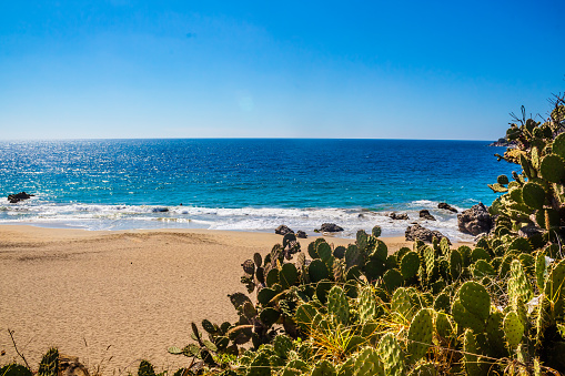 Playa de zicatela vista desde la altura, nopales en primer plano y mano gigante en la arena, mar al fondo en puerto escondido oaxaca