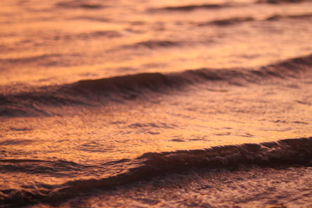 istock lake waves in the afternoon at sunset 1675314181