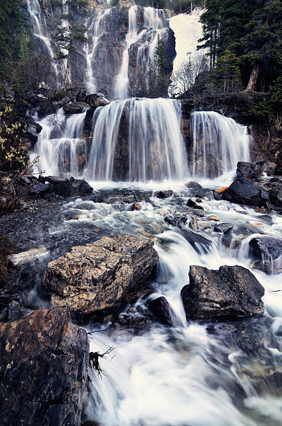 tangle falls cachoeira na floresta - tangle falls - fotografias e filmes do acervo