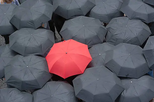 Photo of One red umbrella at center of multiple black umbrellas