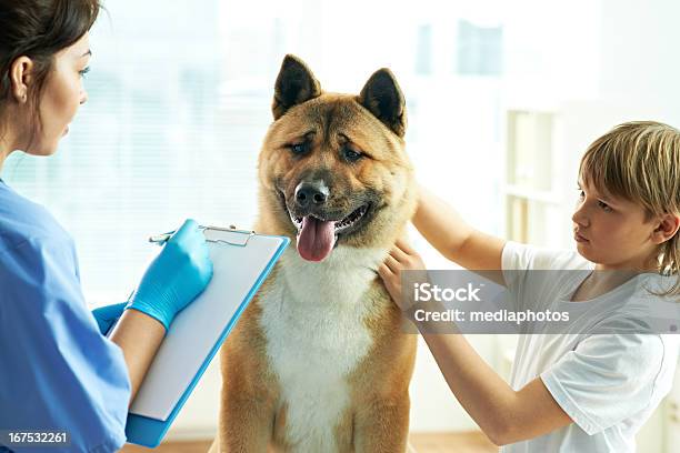 Arzt Stockfoto und mehr Bilder von Hund - Hund, Kind, Klemmbrett