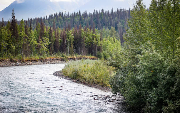 istock Dramatic landscape and river view in Central Alaska near Denali 1675323230