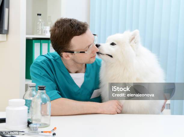 Foto de Veterinário e mais fotos de stock de Cão - Cão, Veterinário, 30 Anos