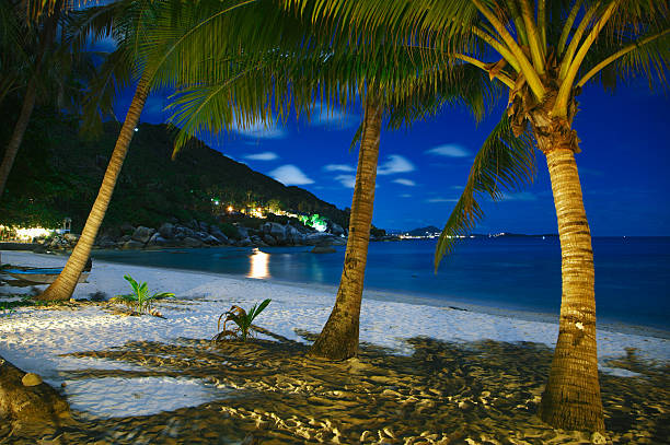 istock Night over sea beach with clouds and palm tree leaves 167534792