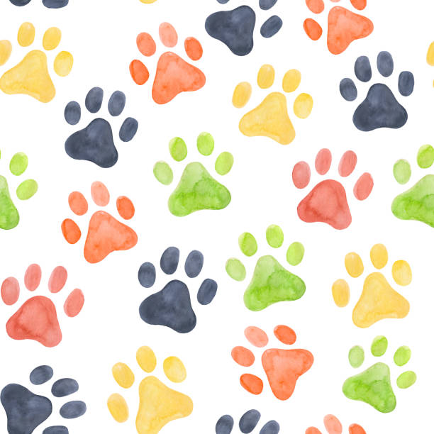 istock Dog paw seamless pattern. Multicoloured puppy or cat paw track. Abstract dog endless animal background 1675348182