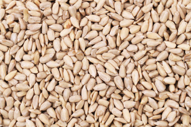 istock healthy sunflower seeds as nice background 1675392977