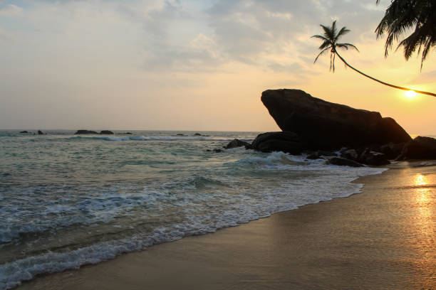日没時のスリランカのデラウェラビーチの有名な岩 - asia forest sri lanka rock ストックフォトと画像