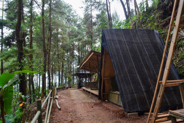 istock simple house in the middle of natural forest 1675450735