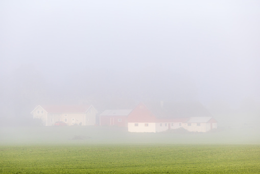 Green field and a farm in the morning mist