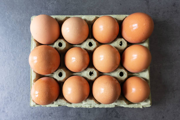 istock Zenithal View of a centered Full Egg Carton 1675504602
