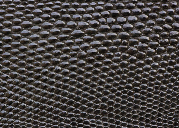 istock Snakeskin Textured Leather Seamless Swatch 1675519711