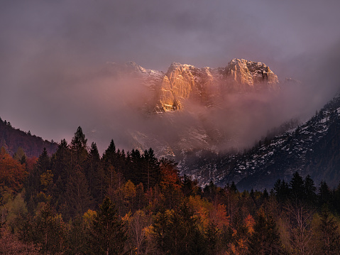 Mountain range of European Alps though fog lightened by sunlight and pine woodland in Slovenia. Photographed in medium format.