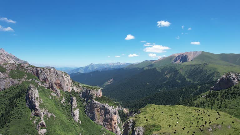 Aerial zoom in view of pasture on the plateau of Ganan, China