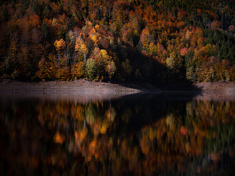 Panoramic view of the clear water, stones and fall foliage of Jordan Pond in Acadia National Park