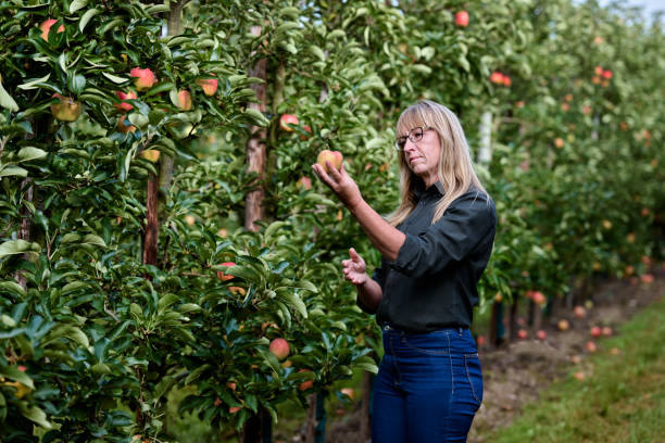 Woman looking at an apple
