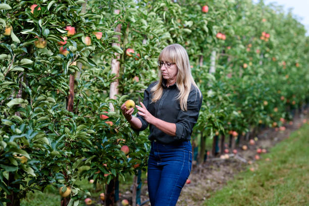 istock Woman looking at an apple 1675560001