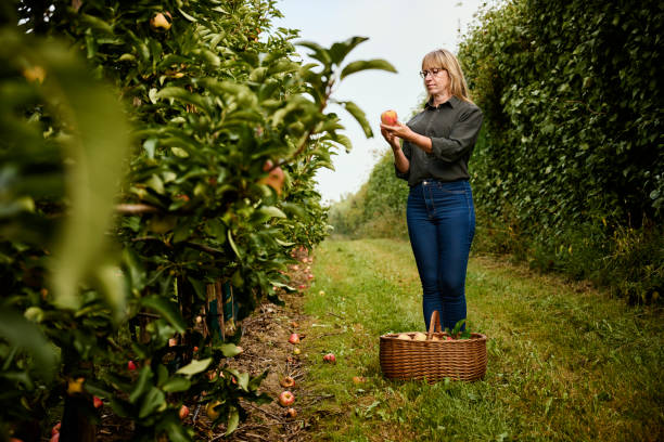 istock Woman looking at an apple 1675560544