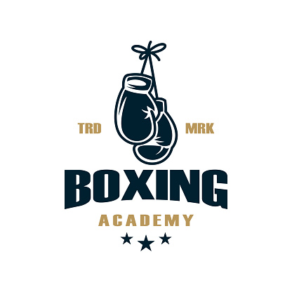 vintage logo boxing vector template illustration