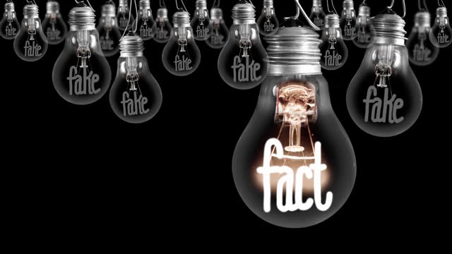 Light Bulbs with Fake and Fact Concept