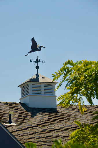Rooftop weathervane featuring a copper stork