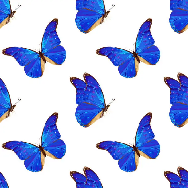 Vector illustration of Seamless pattern with blue butterfly. Tropical insect. Neon colors.