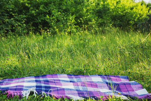 Summer lawn, green grass background. Checkered plaid or blanket on the green grass, selective focus. Rest, outdoor recreation concept