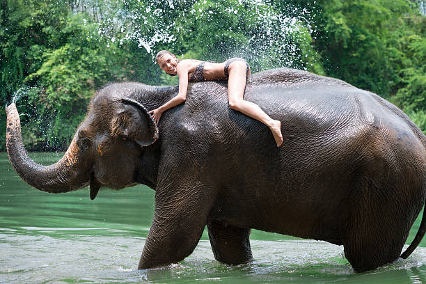 istock Woman bathing with an Elephant, Tropical Rain Forest 167566458