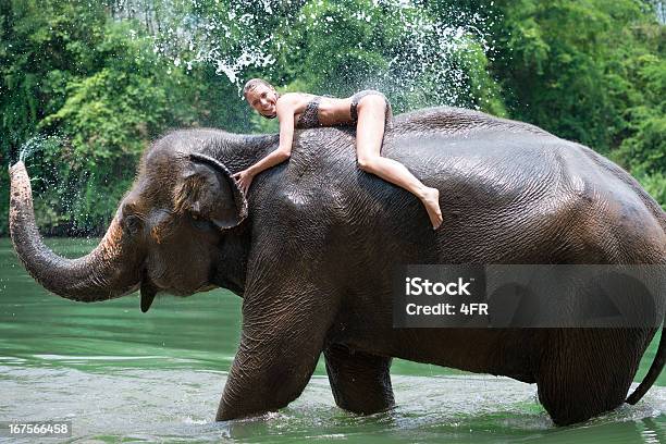 Mulher De Banho Com Um Elefante De Floresta De Chuva Tropical - Fotografias de stock e mais imagens de Elefante