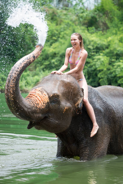istock Woman bathing with an Elephant 167566563