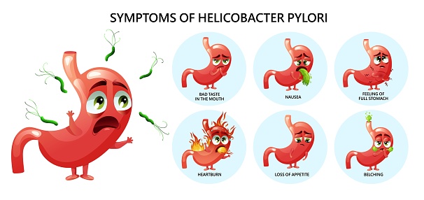 Helicobacter pylori symptoms nausea, bad taste in mouth, belching, loss of appetite, feeling of full stomach, heartburn. Infographic with cartoon stomach characters. Vector illustration