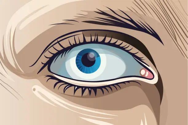 Vector illustration of Eye closeup vector illustration