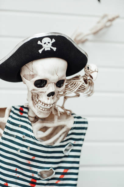 istock Skeleton in pirate costume with cocked hat black at halloween party 1675678884
