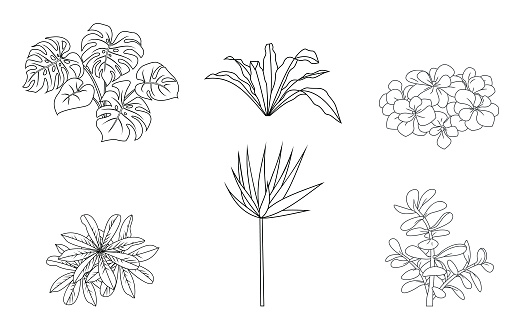 Vector Set of different houseplants in flower pots on white background