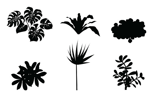 Vector Set of different houseplants in flower pots on white background